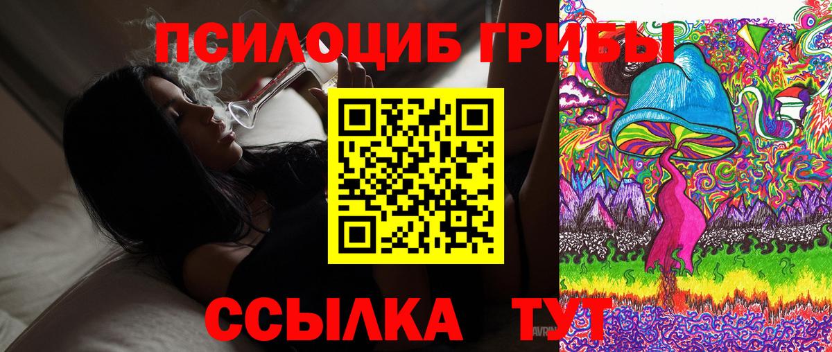 Рассказово  Галлюциногенные грибы ЛСД  Вход с VPN 