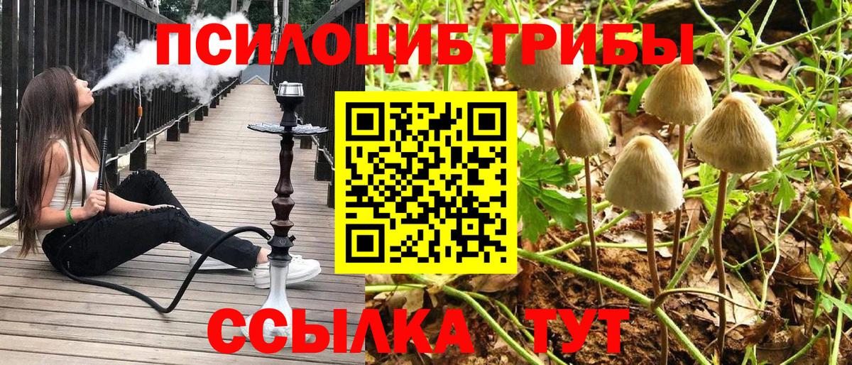Псилоцибиновые грибы MAGIC MUSHROOMS Рассказово